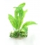 Roślina do terrarium ASPLENIUM DUŻE paproć 30cm  na podstawce